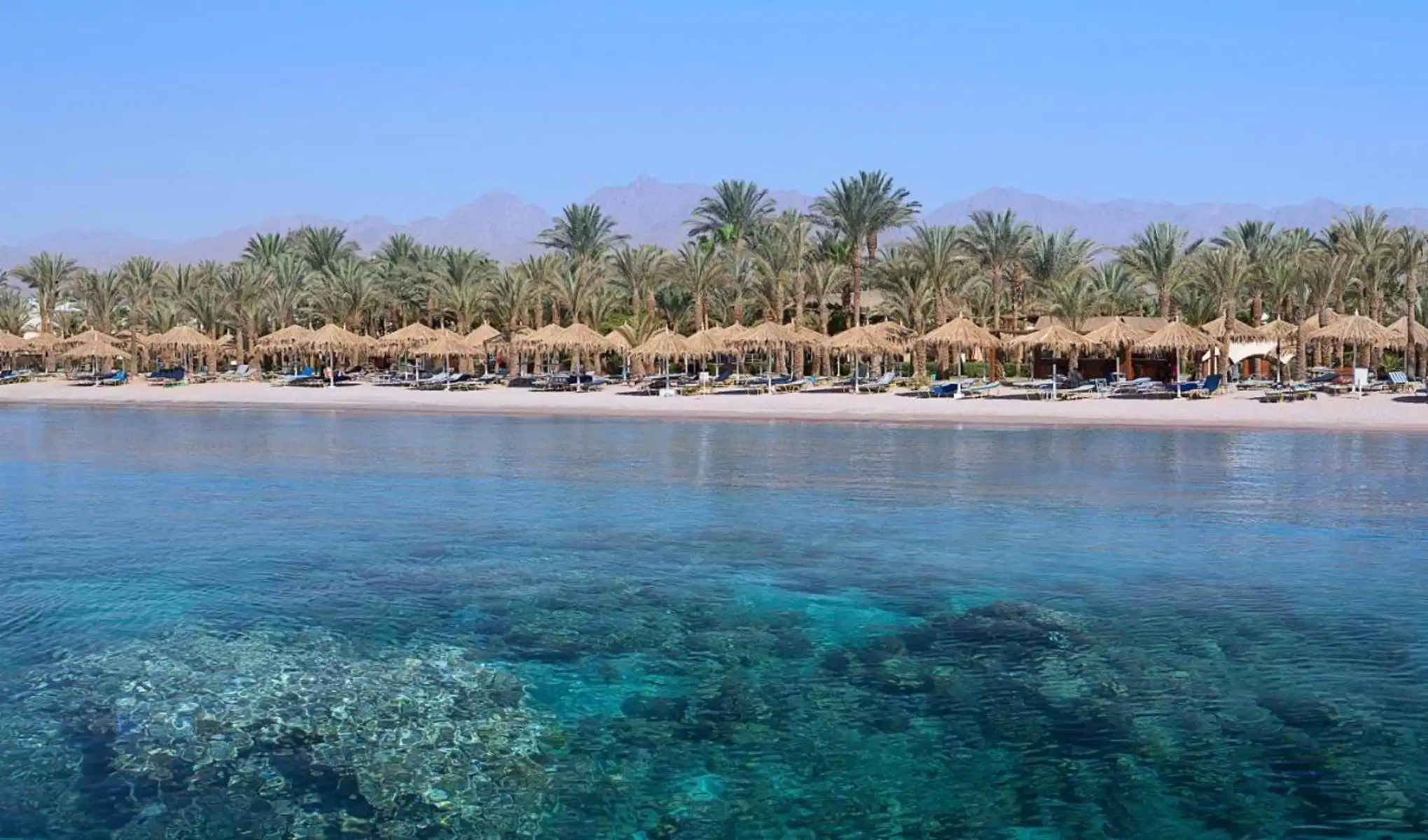 JAZ Sharm Dreams — Sharm El Sheikh, Red Sea