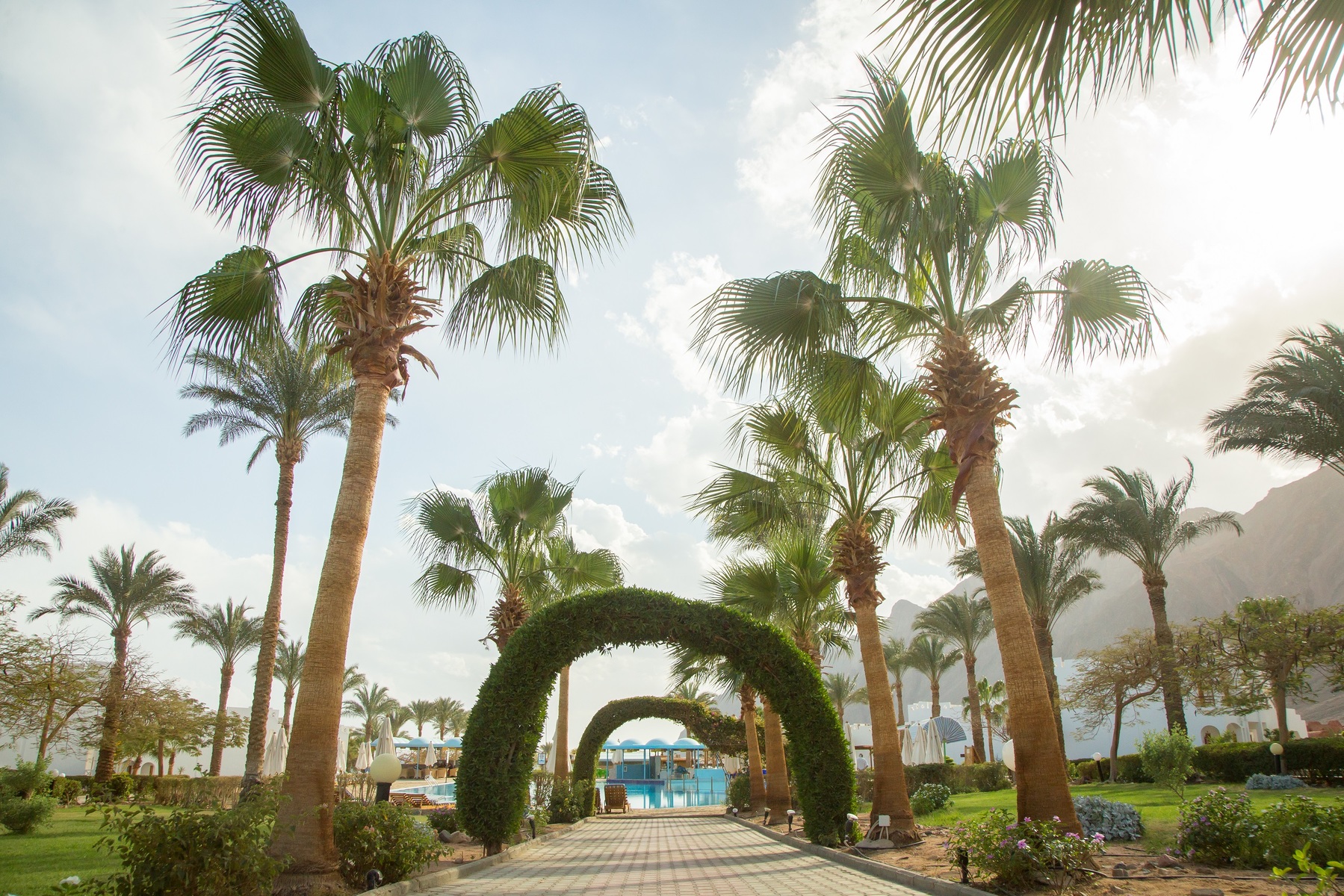 Happy Life Village Dahab — Dahab, Red Sea