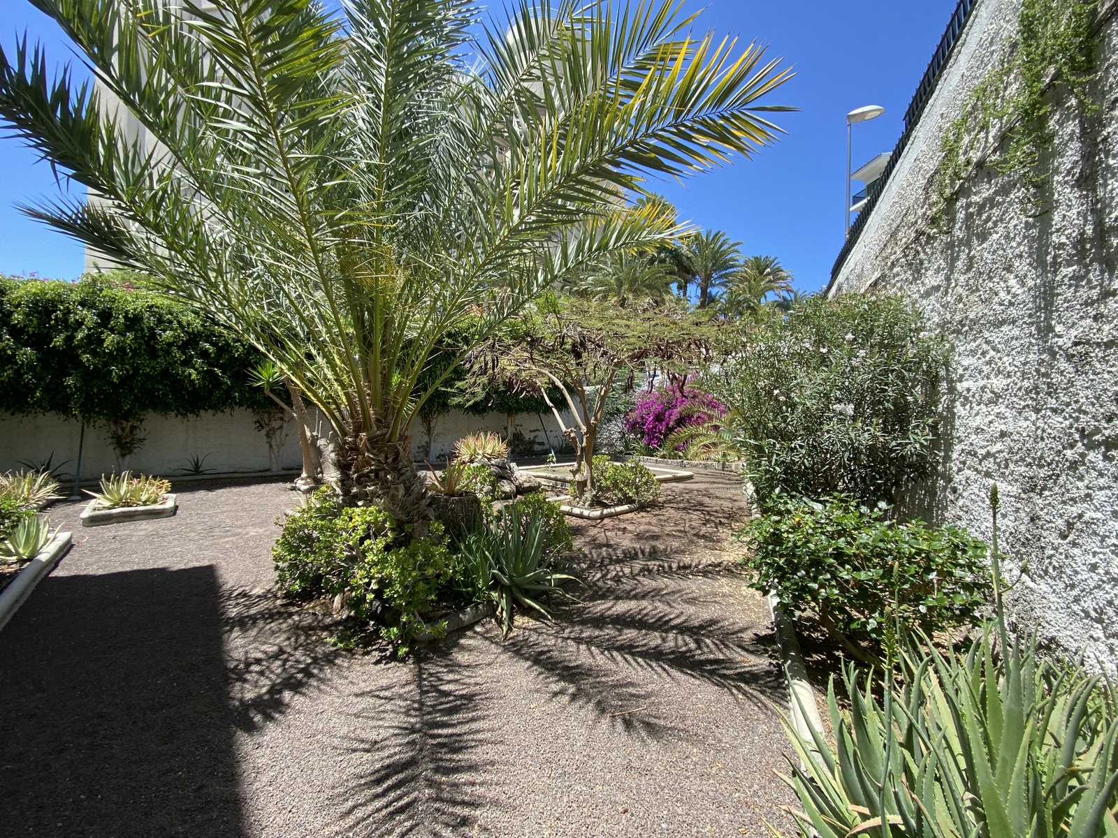 Caroni — Playa del Ingles, Canary Islands
