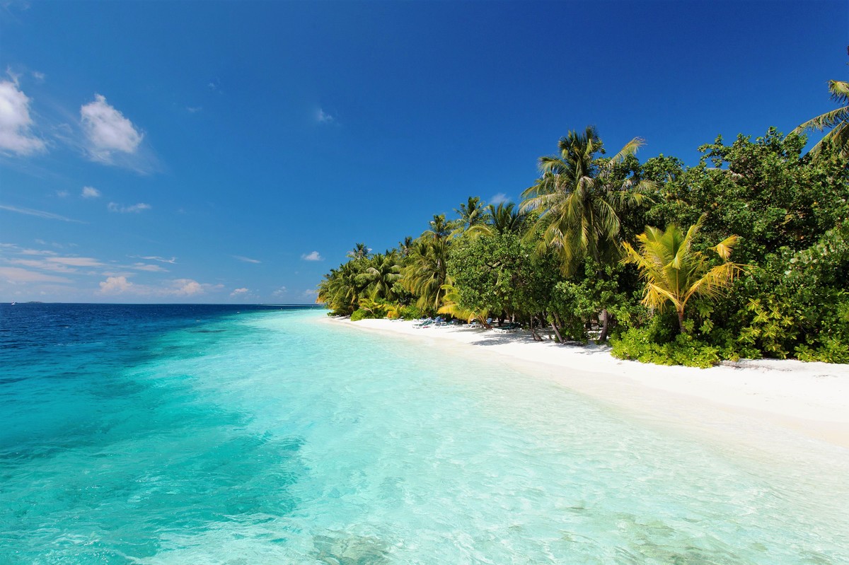 Vilamendhoo Maldives Resort Island — Maafushivaru, Alif Dhaal