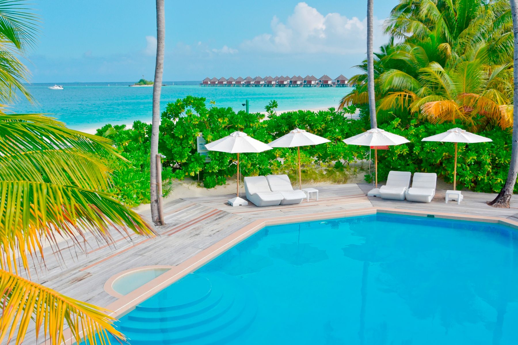 Safari Island Resort