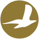 Cham Wings Airlines
