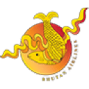 Bhutan Airlines