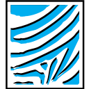 Air Botswana
