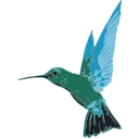 Caribbean Airlines