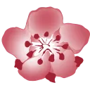 China Airlines