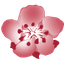 China Airlines