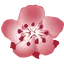 China Airlines