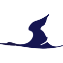 Air Koryo