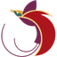 Air Niugini