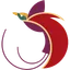 Air Niugini