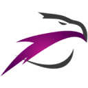 Sky Vision Airlines
