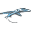 Twin Jet