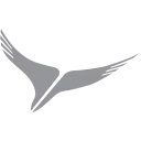 Arik Air