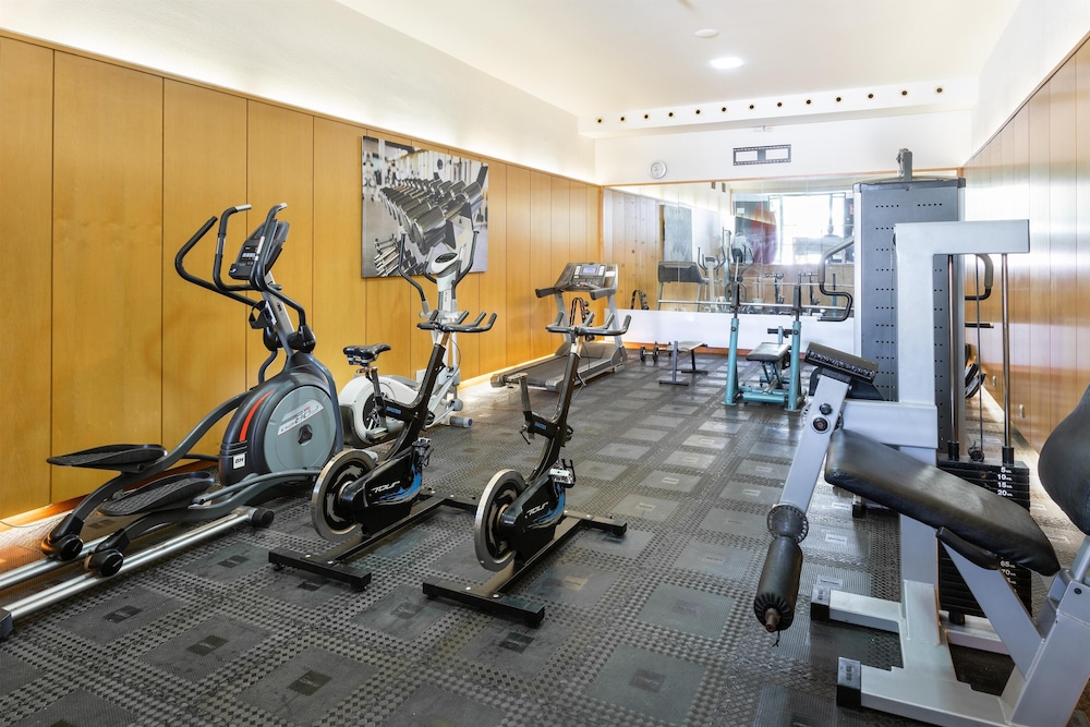 Alexandre La Siesta — Sports & recreation in Playa de las Americas, Canary Islands