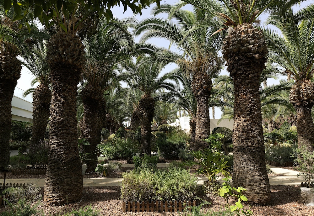 The GrandResort Leonardo Limited Edition — Attractions in the area in Limassol, Limassol Region