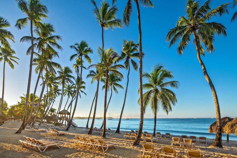 Dreams La Romana Resort & Spa - All Inclusive — Beach in Bayahibe, La Altagracia
