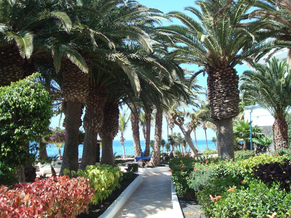 VIK Hotel San Antonio — Beach in Puerto del Carmen, Canary Islands