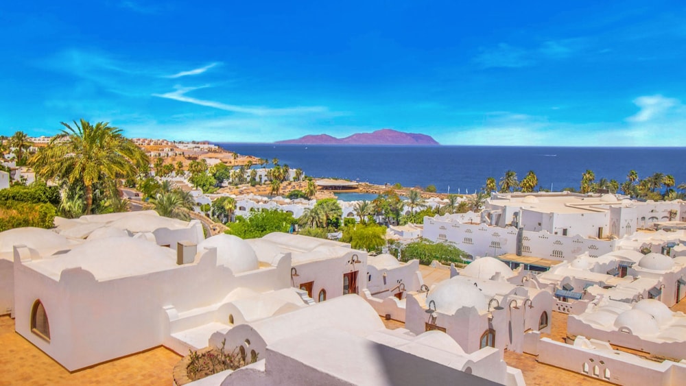 Domina Coral Bay Resort, Diving , Spa & Casino — Attractions in the area in Sharm El Sheikh, South Sinai
