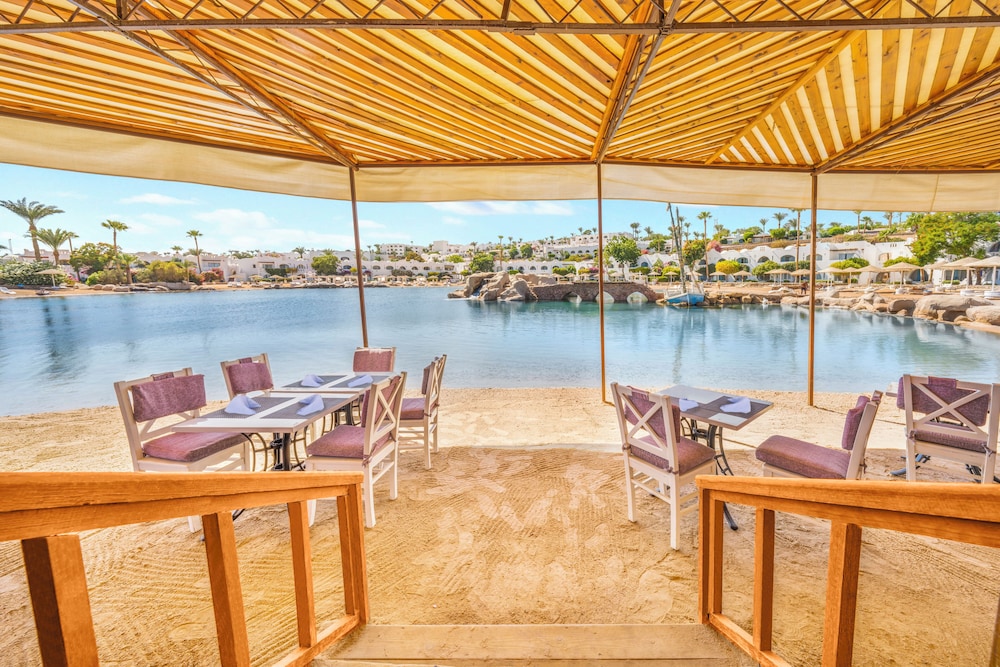 Domina Coral Bay Resort, Diving , Spa & Casino — Restaurant & bars in Sharm El Sheikh, South Sinai