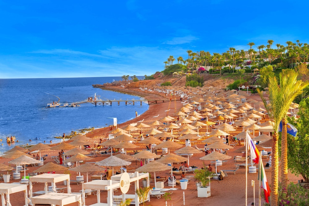 Domina Coral Bay Resort, Diving , Spa & Casino — Beach in Sharm El Sheikh, South Sinai