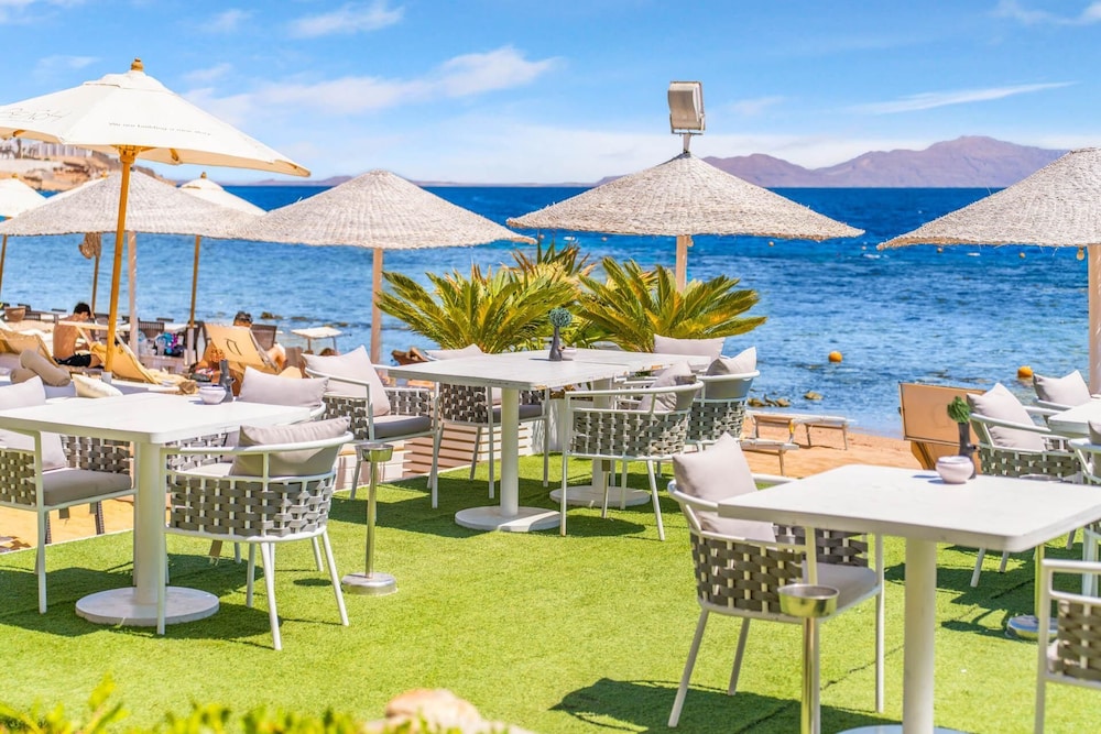 Domina Coral Bay Resort, Diving , Spa & Casino — Restaurant & bars in Sharm El Sheikh, South Sinai
