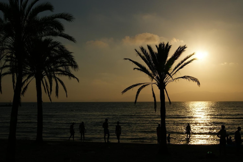 Hotel HSM Reina del Mar — Beach in Playa de Palma, Balearic Islands