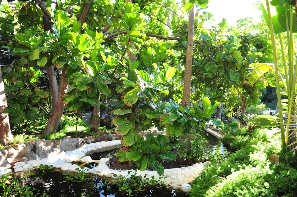 Hotel Parque Tropical — Attractions in the area in Playa del Ingles, Canary Islands