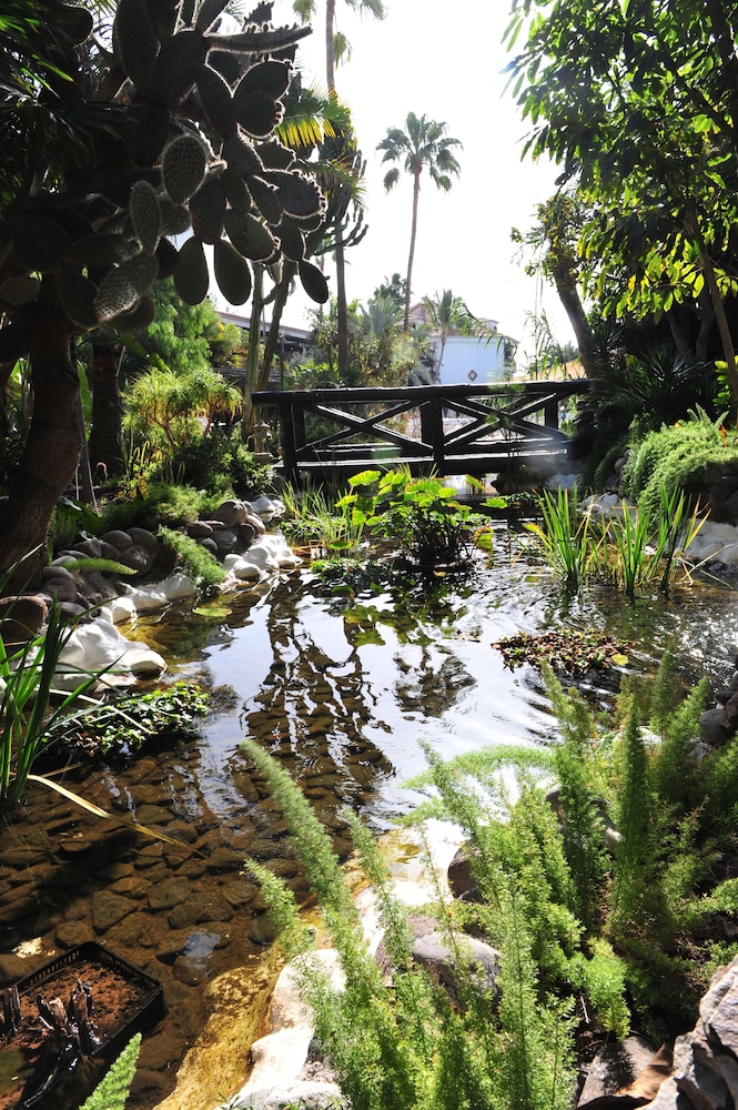 Hotel Parque Tropical — Attractions in the area in Playa del Ingles, Canary Islands