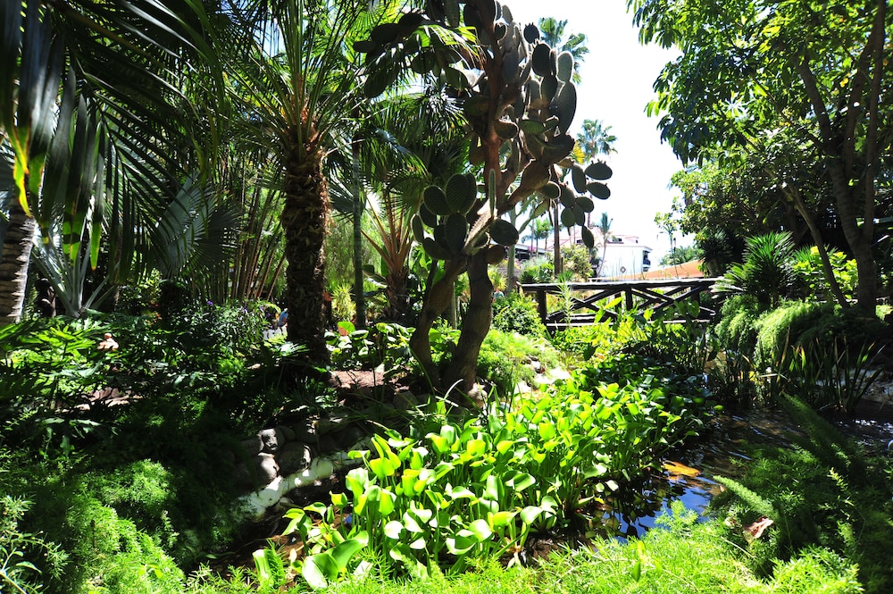 Hotel Parque Tropical — Attractions in the area in Playa del Ingles, Canary Islands