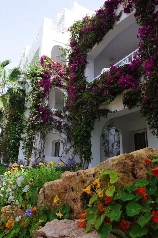 Djerba Resort — Hotel building in Midoun, Medenine
