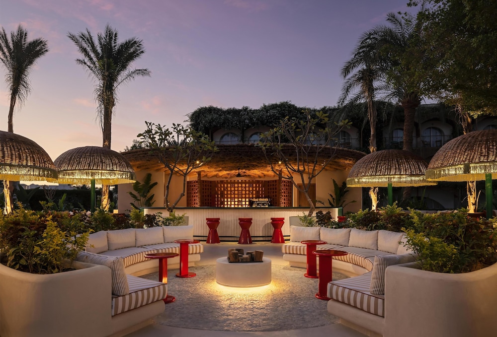 Desert Rose — Restaurant & bars in Hurghada, Red Sea