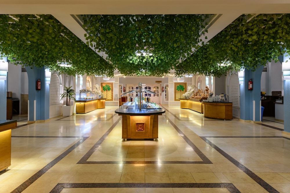 Desert Rose — Restaurant & bars in Hurghada, Red Sea