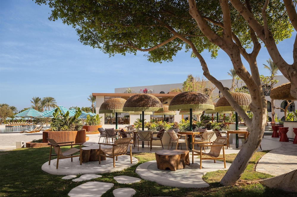 Desert Rose — Restaurant & bars in Hurghada, Red Sea