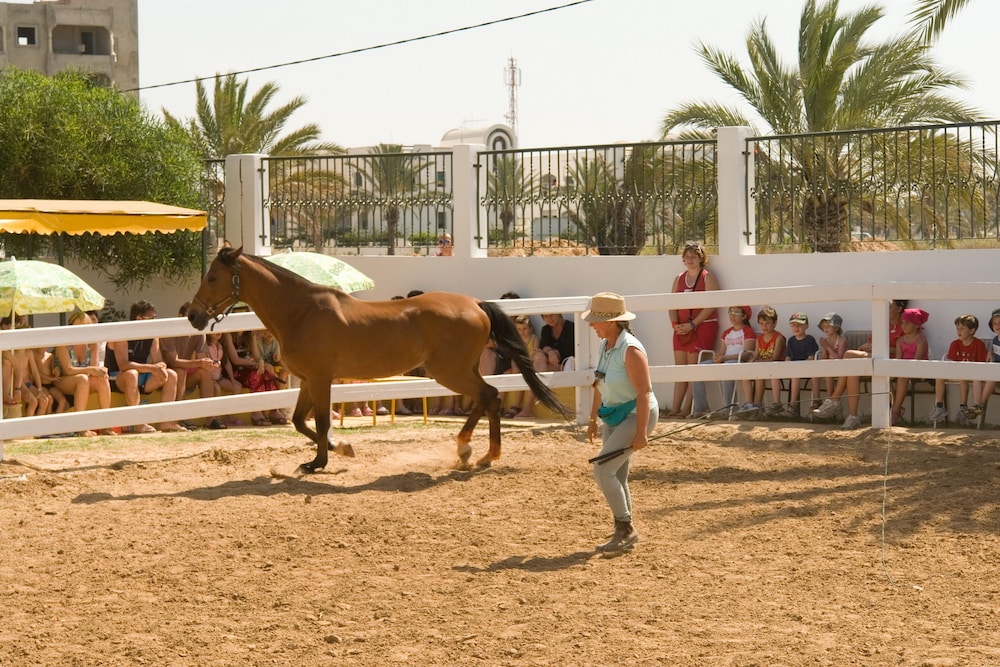 El Mouradi Cap Mahdia — Sports & recreation in Mahdia, Mahdia