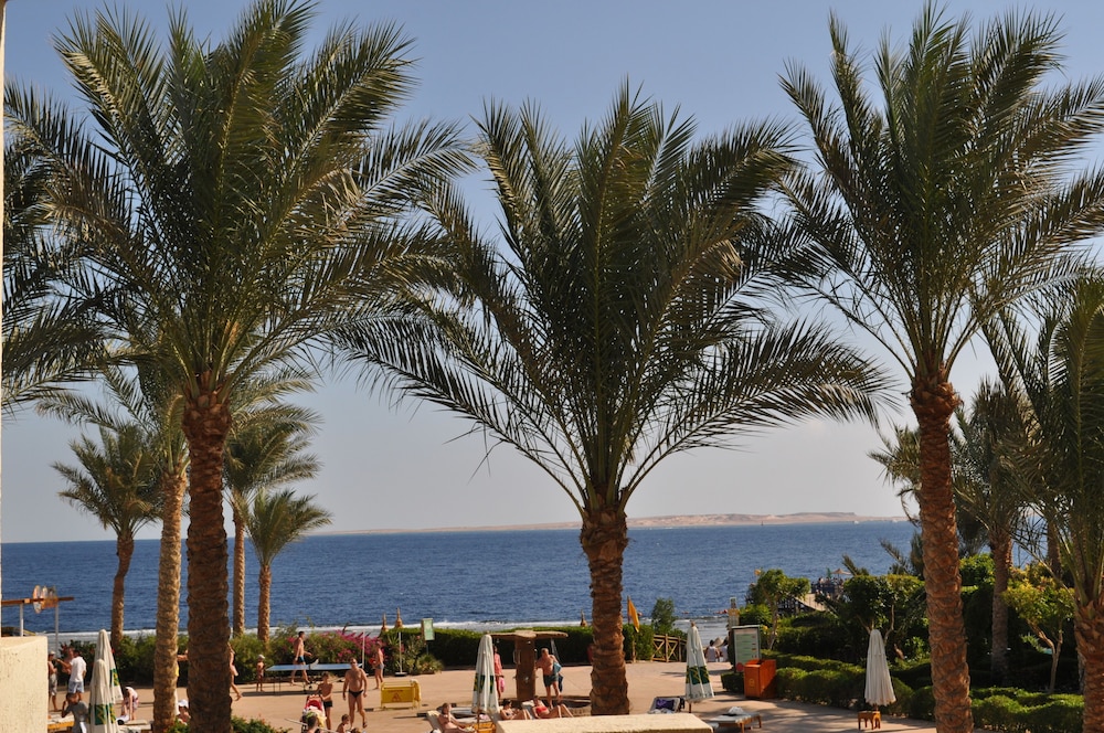 Rehana Royal Beach Resort - Aquapark & Spa - Families & Couples Only -  Premium Ultra All-Inclusive 24H — Beach in Sharm El Sheikh, Red Sea