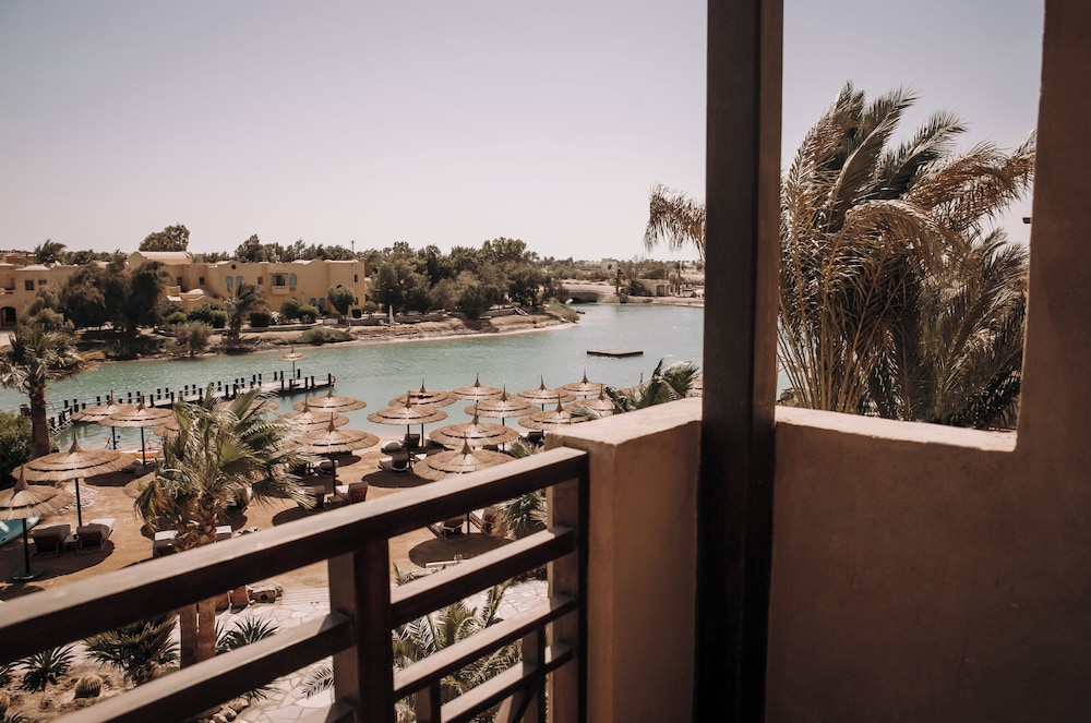 Cook's Club El Gouna - Adults Only — Hotel rooms in El Gouna, Red Sea