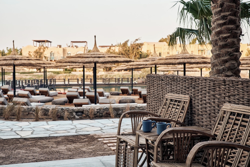 Cook's Club El Gouna - Adults Only — Swimming pool in El Gouna, Red Sea