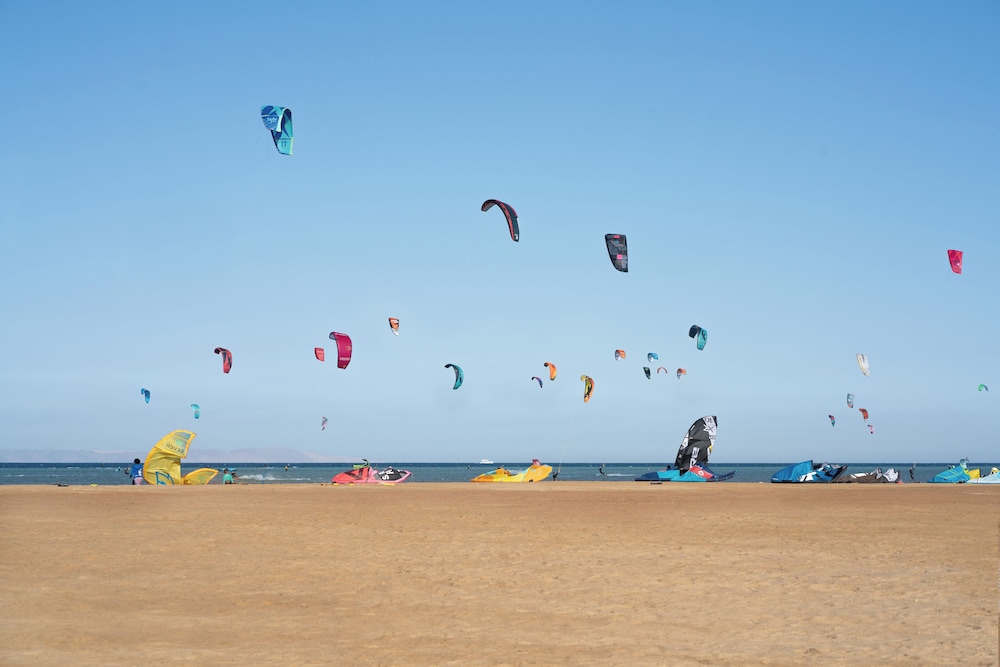 Cook's Club El Gouna - Adults Only — Sports & recreation in El Gouna, Red Sea