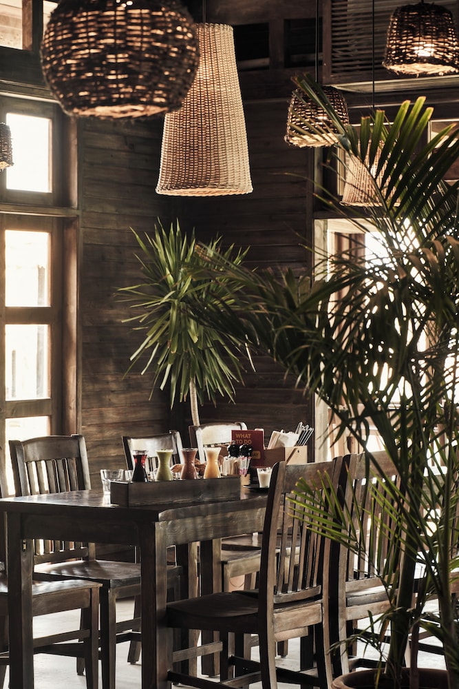 Cook's Club El Gouna - Adults Only — Restaurant & bars in El Gouna, Red Sea