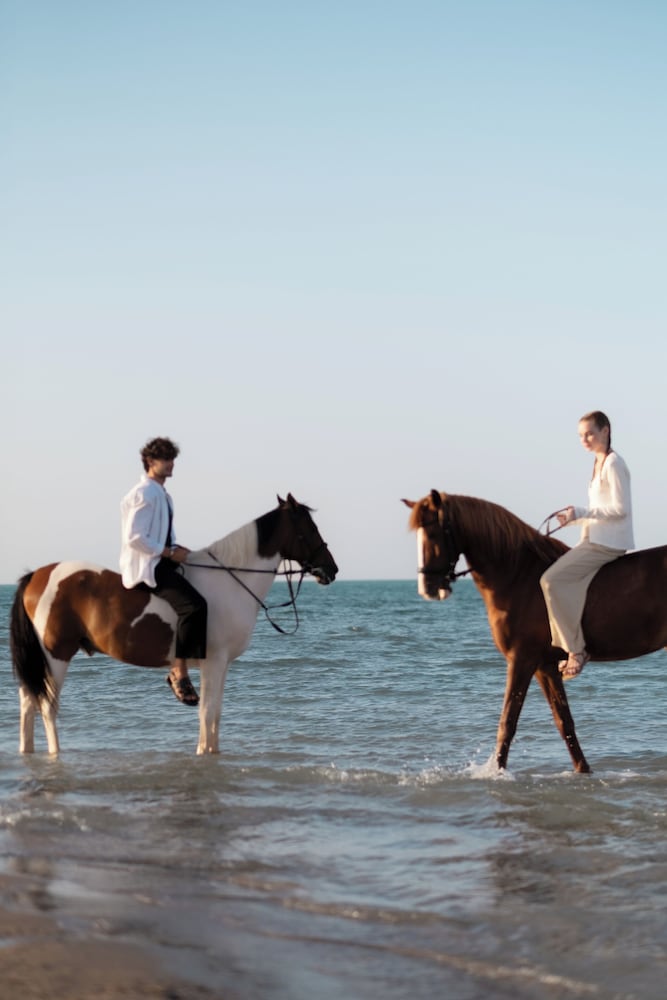 Cook's Club El Gouna - Adults Only — Beach in El Gouna, Red Sea