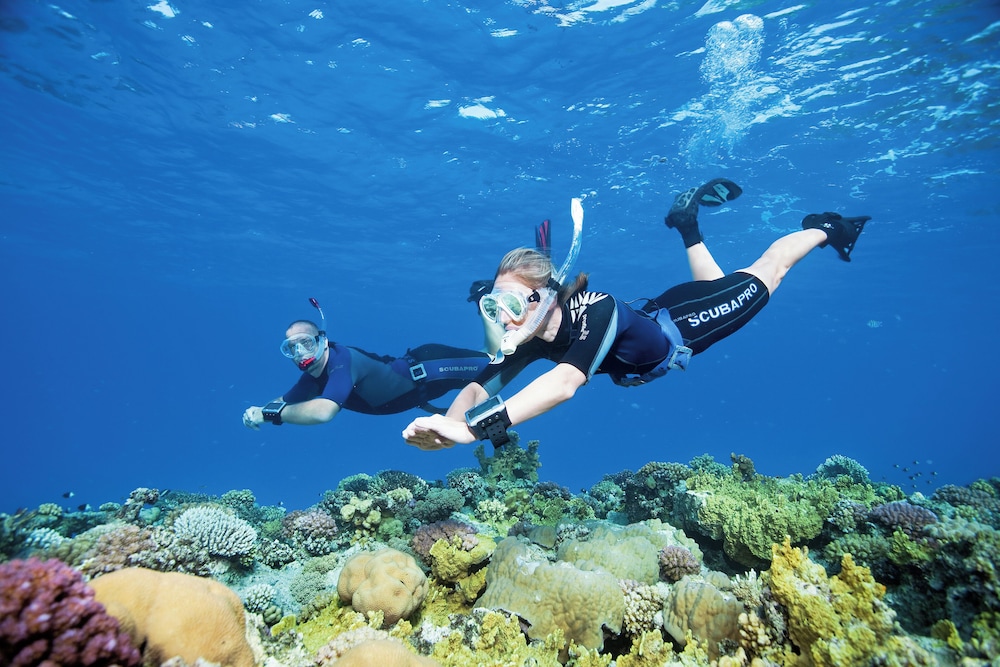 Cook's Club El Gouna - Adults Only — Sports & recreation in El Gouna, Red Sea