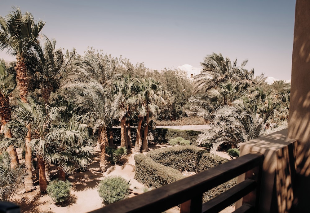Cook's Club El Gouna - Adults Only — Hotel building in El Gouna, Red Sea