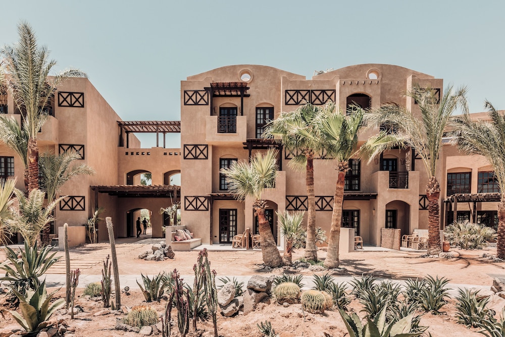 Cook's Club El Gouna - Adults Only — Hotel building in El Gouna, Red Sea