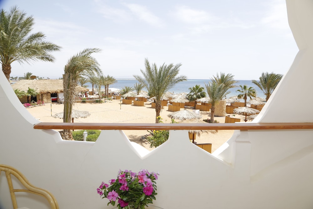 Swiss Inn Resort Dahab — Beach in Dahab, Red Sea