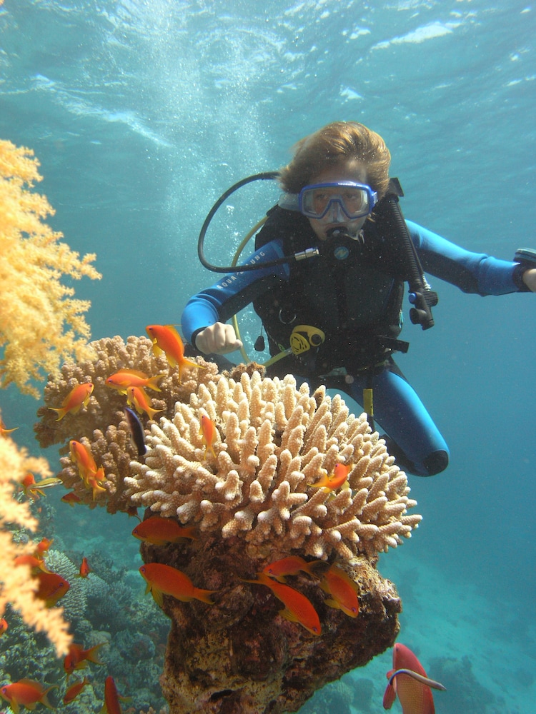 Swiss Inn Resort Dahab — Sports & recreation in Dahab, Red Sea