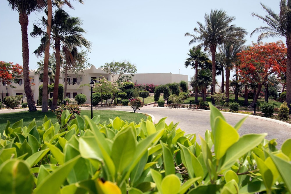 Swiss Inn Resort Dahab — Hotel building in Dahab, Red Sea