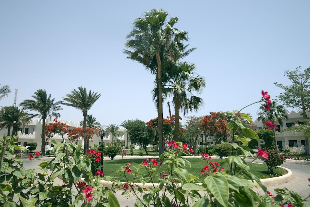 Swiss Inn Resort Dahab — Hotel building in Dahab, Red Sea