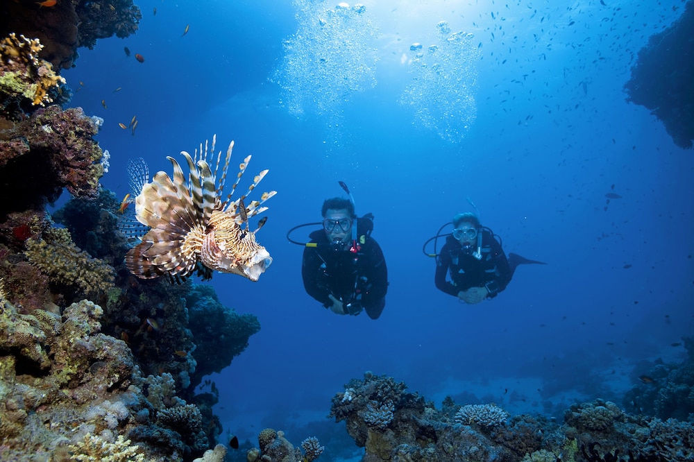 Turtle's Inn — Sports & recreation in El Gouna, Red Sea