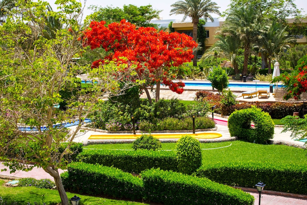 Golden Beach Resort - All inclusive — Hotel building in Hurghada, Red Sea